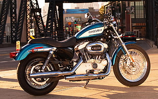 black and blue cruiser motorcycle