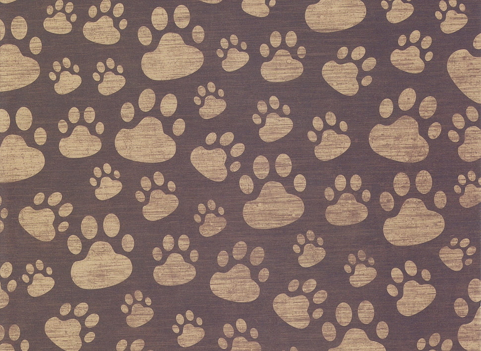 paw print design terxtile HD wallpaper