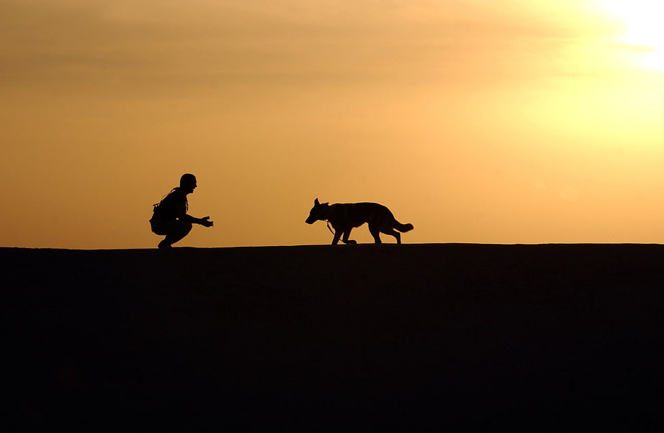 silhouette of dog and a person during sunset HD wallpaper