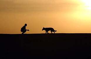 silhouette of dog and a person during sunset