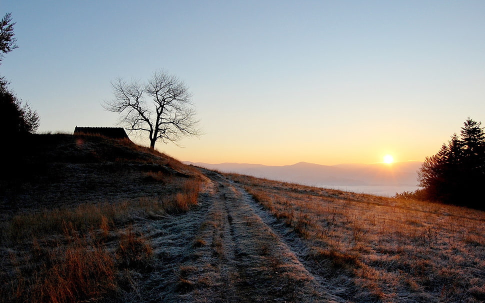 gray dirt road, landscape HD wallpaper