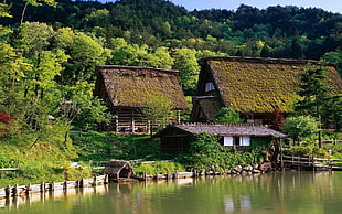 brown hut, landscape HD wallpaper