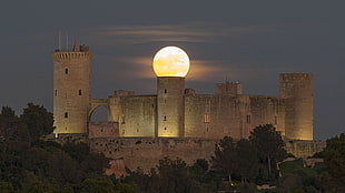 beige castle under moon during nighttime