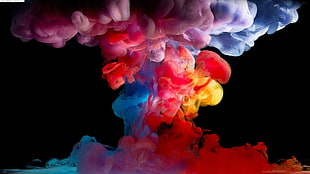 rainbow smoke digital wallpaper