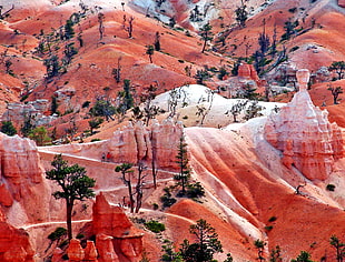 brown hills photo during daytime, bryce canyon