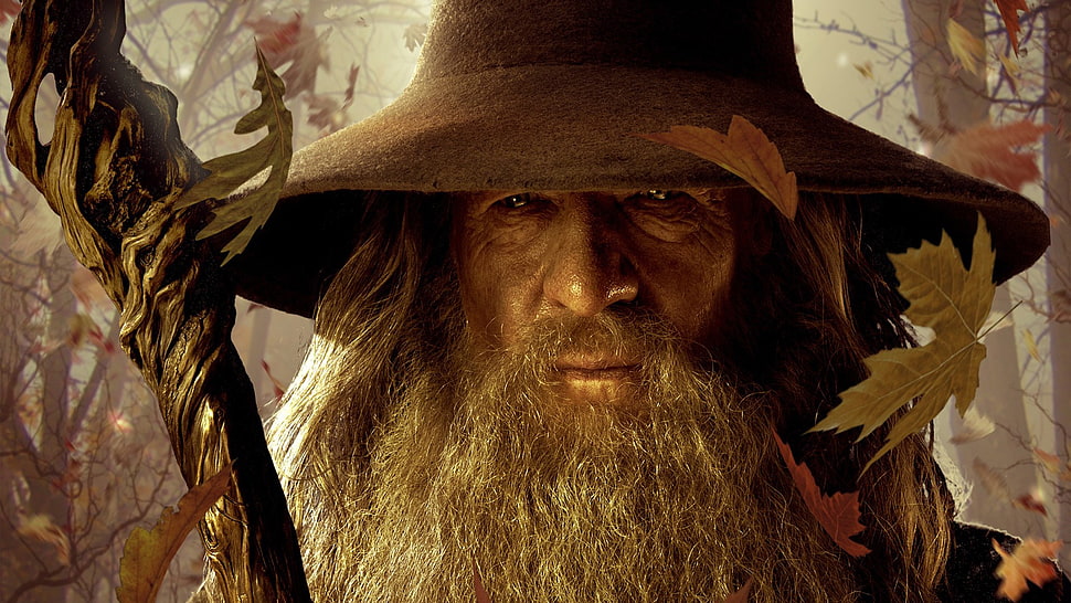 photo of The Hobbit Gandalf HD wallpaper