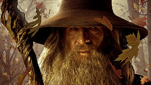 photo of The Hobbit Gandalf