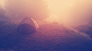 brown and black dome tent, mist, sunset, nature, Sun