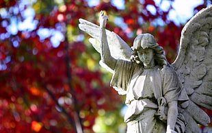 angel statue, statue, angel, blurred
