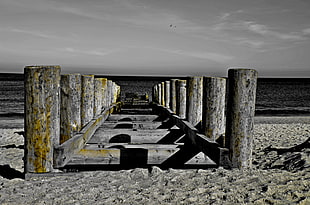 grayscale photography of wooden beach dock near sea HD wallpaper