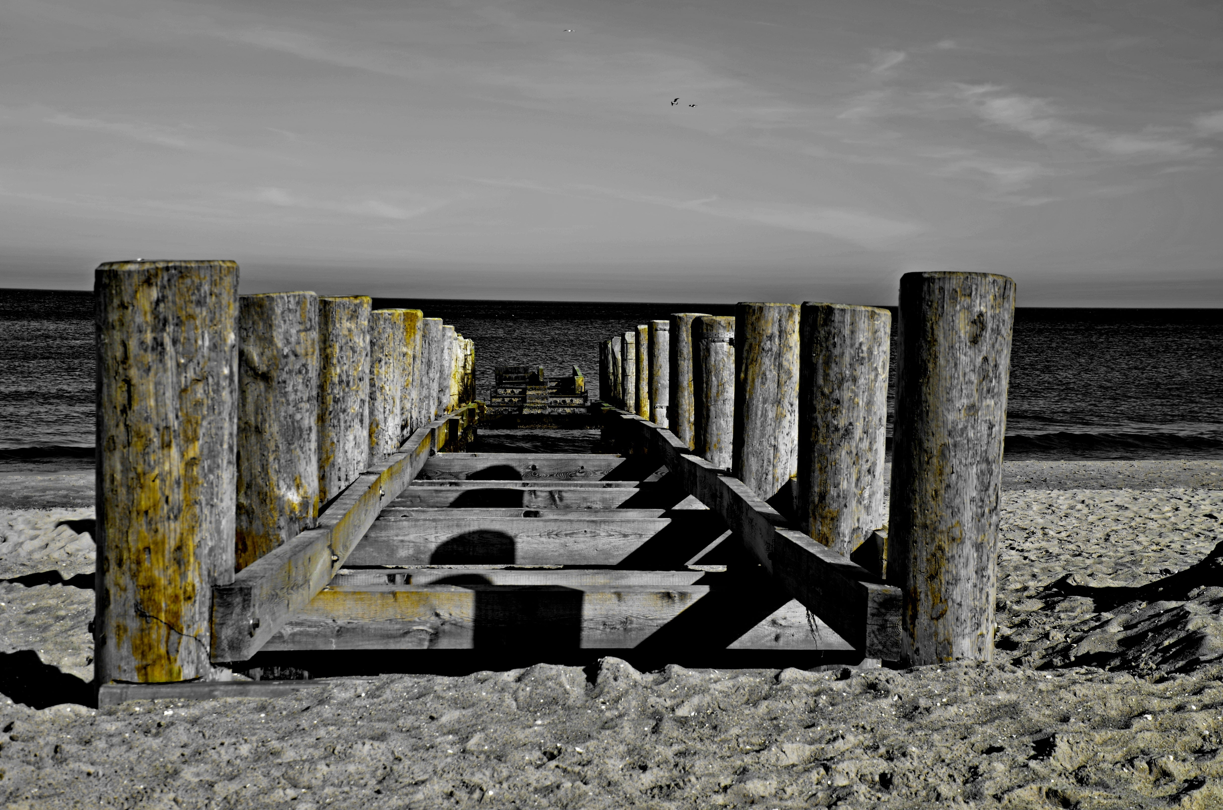 grayscale photography of wooden beach dock near sea