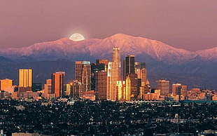 photo of city, city, Los Angeles HD wallpaper
