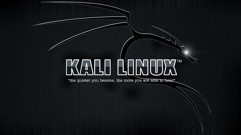Kali Linux logo, Kali Linux HD wallpaper