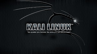 Kali Linux logo, Kali Linux
