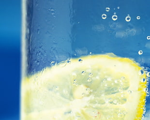 lemon on water HD wallpaper