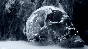 gray skull decor, skull, smoke, bones, teeth