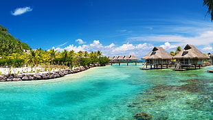 two brown huts near body of water, Maldives HD wallpaper