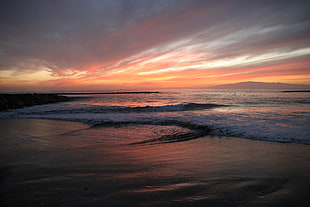 sea shore photo during sunset