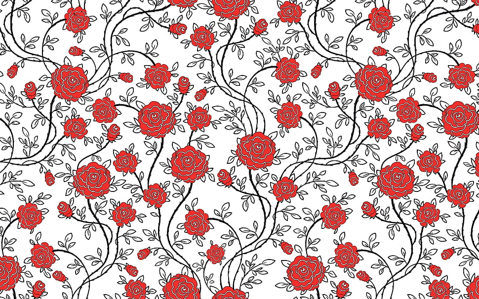 red rose illustration HD wallpaper