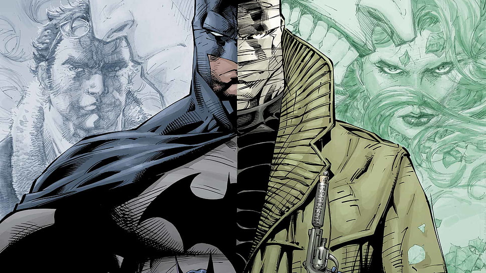 Half face batman illustration HD wallpaper