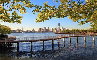 landscape photography of wooden dock