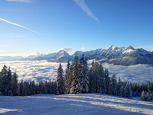 sea of clouds view during daytime