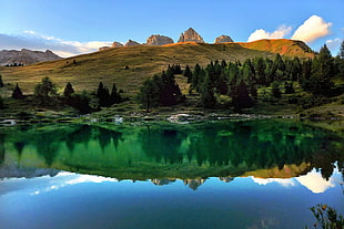 reflection photography of pine trees, landscape, nature, photography, lake