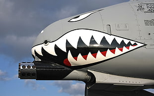 gray battle aeroplane, Fairchild A-10 Thunderbolt II, closeup, aircraft, military aircraft HD wallpaper