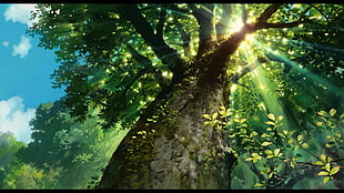 green leaf tree digital wallpaper