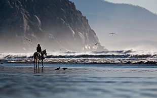 man riding horse beside sea