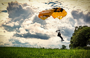 silhouette of man in parachute about to land near green tree at daytime