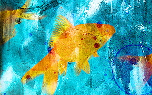 yellow fish painting, fish, goldfish, blue, graffiti