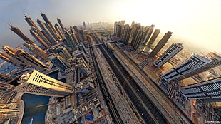 aerial view of skyscrapers, cityscape, city, building, aerial view