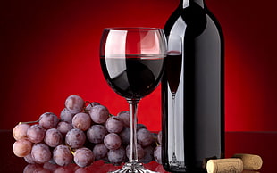 filled long-stem wine glass beside bottle and chardonnay