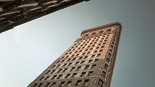 low angle photography of Flat Iron building HD wallpaper
