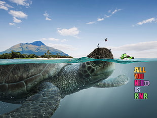 black sea turtle with text overlay, turtle, split view, sea, photo manipulation HD wallpaper