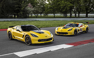 two yellow Corvette Stingrays, car, Chevrolet Corvette Z06, Chevrolet Corvette C7, race tracks