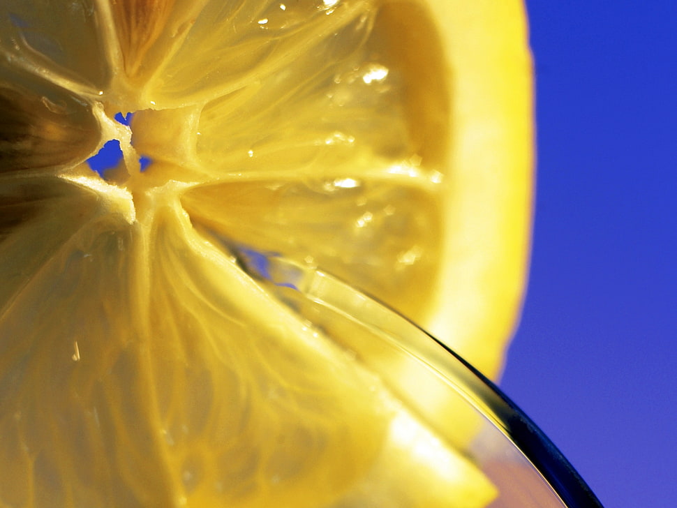 sliced lemon HD wallpaper