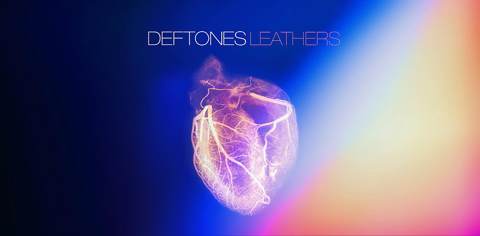 Deftones Leathers logo, abstract, heart, typography HD wallpaper