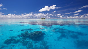 blue sea, sea, island, clouds, tropical HD wallpaper