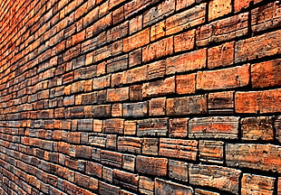 close photo of brown brick wall HD wallpaper