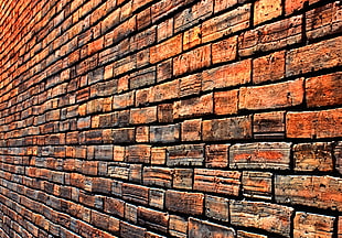 close photo of brown brick wall