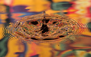 still shot photography of water ripples HD wallpaper