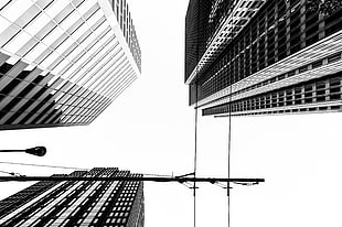 low angle and grayscale photography of high rise buildings