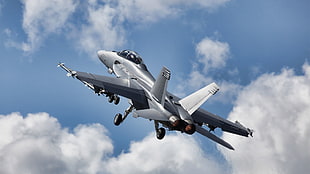 gray air craft, Boeing F/A-18E/F Super Hornet, airplane