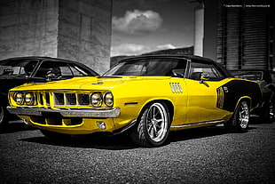 yellow muscle car, car