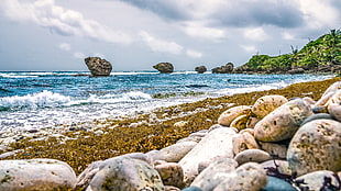 seashore landscape photography HD wallpaper