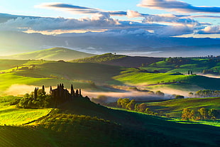 Italy,  Tuscany,  Fields,  Trees HD wallpaper