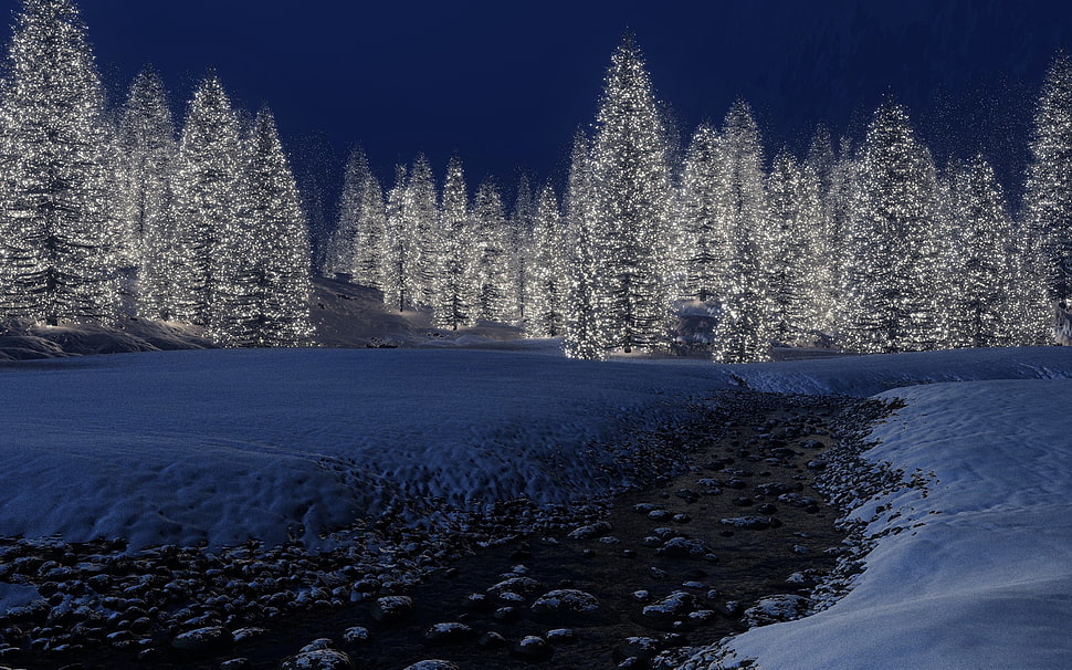white leafed tree, landscape HD wallpaper
