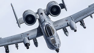 photo of gray air jet fighter